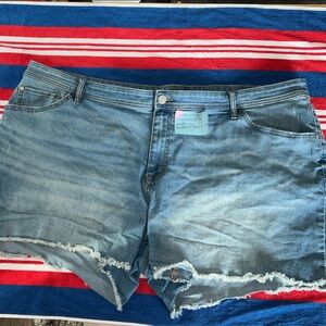 EVRI Women's Light Blue Jean Shorts